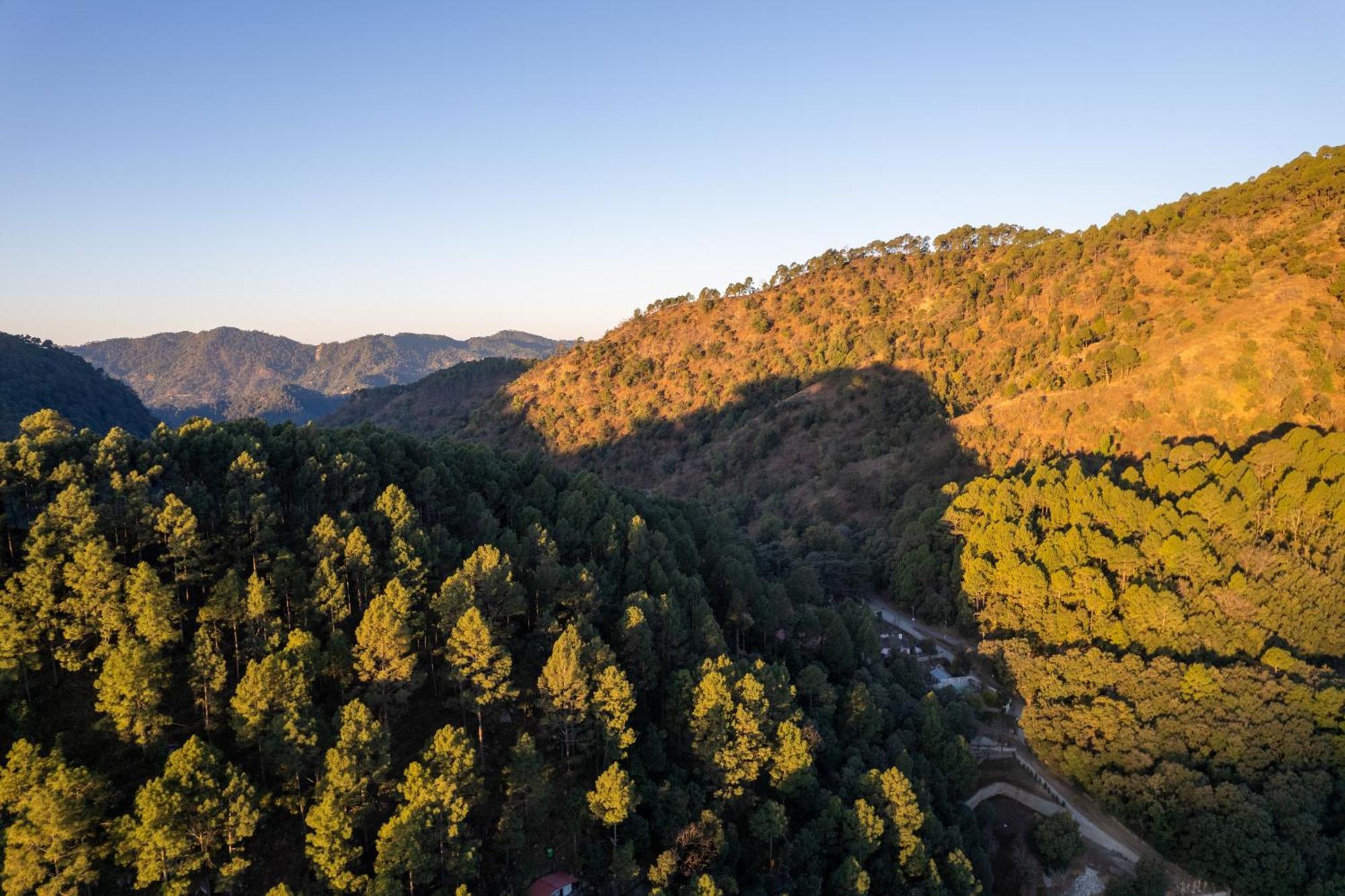 The Canadian Woods Resort Nainital Exterior foto
